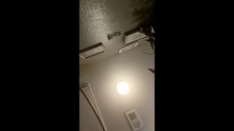 boredaf6678 online show from March 21, 2026, 4:28 am
