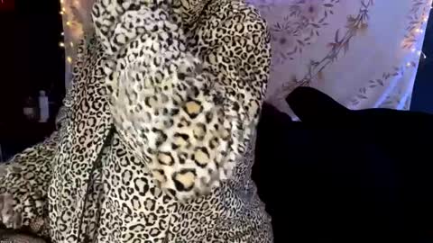 Snapshot of bossmomma chatting on December 13, 2024, 4:33 am BossMom online show from December 13, 2024, 4:33 am