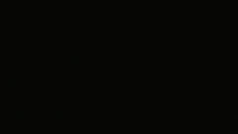 Snapshot of bossram160 chatting on February 5, 2025, 10:08 am bossram160 online show from February 5, 2025, 10:08 am