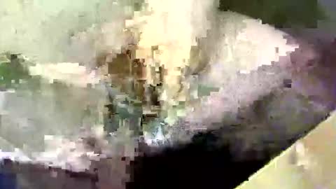 Snapshot of bossram160 chatting on September 17, 2025, 8:21 pm bossram160 online show from September 17, 2025, 8:21 pm