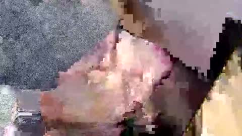 Snapshot of bossram160 chatting on September 27, 2025, 7:52 pm bossram160 online show from September 27, 2025, 7:52 pm