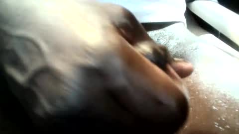 botofogo online show from January 19, 2026, 8:07 am