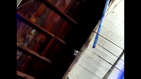 bouncr714 online show from February 26, 2026, 7:46 pm