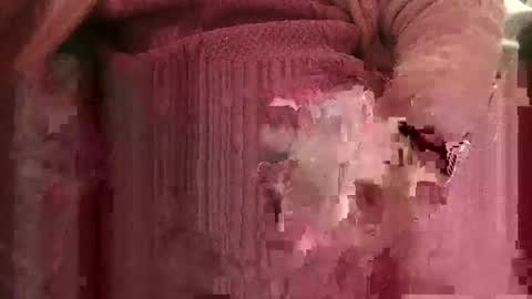 Snapshot of bowieboy91 chatting on November 4, 2025, 12:37 pm bowieboy online show from November 4, 2025, 12:37 pm