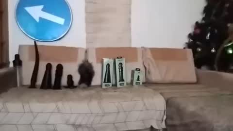 Snapshot of boy7oyy chatting on February 22, 2025, 7:14 pm Bes7assquirt online show from February 22, 2025, 7:14 pm