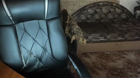 BoyApollon online show from December 23, 2024, 7:38 am