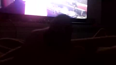 Snapshot of boytop696 chatting on October 12, 2025, 3:05 am Boytop online show from October 12, 2025, 3:05 am