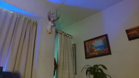 Snapshot of bradley_martinez chatting on July 10, 2026, 10:23 pm Bradley Martinez online show from July 10, 2026, 10:23 pm