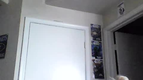 Snapshot of braindeadbetty chatting on June 15, 2026, 2:08 pm i am a naughty jedi knight online show from June 15, 2026, 2:08 pm