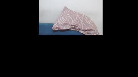 Snapshot of brant_garcia chatting on January 17, 2026, 5:56 am Brant Garcia online show from January 17, 2026, 5:56 am