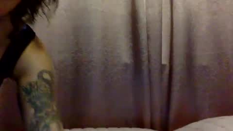 brasilierabrat online show from June 11, 2026, 2:33 am