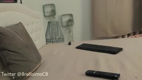 Snapshot of brell_line chatting on February 17, 2025, 1:32 pm Brelland online show from February 17, 2025, 1:32 pm