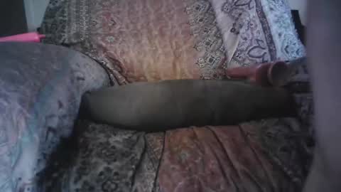 raining down on me online show from April 29, 2026, 2:21 pm