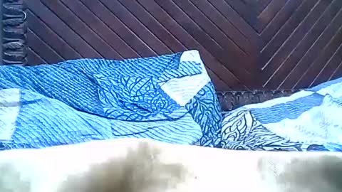 Snapshot of brilliant7 chatting on December 28, 2024, 9:40 pm Josh online show from December 28, 2024, 9:40 pm