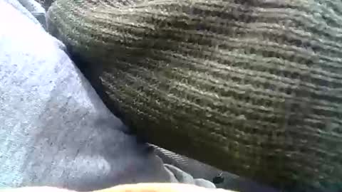 Josh online show from December 31, 2024, 2:29 am