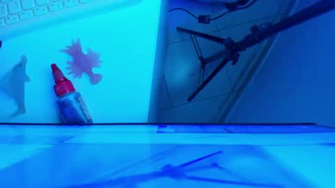 Snapshot of britanny_jones1 chatting on July 16, 2026, 1:06 pm B R I T A N N Y online show from July 16, 2026, 1:06 pm