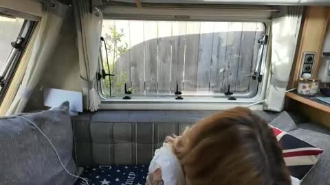 Snapshot of british_rosie chatting on May 25, 2026, 8:20 am Want to see more online show from May 25, 2026, 8:20 am