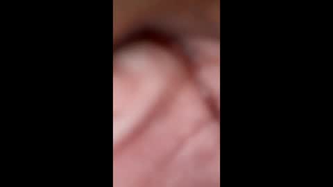 brnkxtocnxek online show from March 13, 2026, 11:28 am