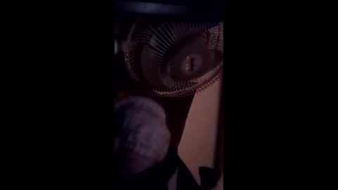 Brobator-gator online show from February 19, 2026, 12:39 am