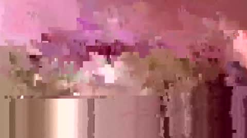 Brobator-gator online show from June 5, 2026, 12:44 pm