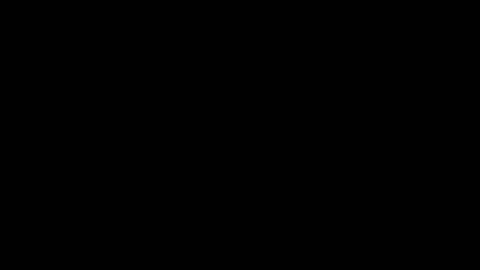 Sasha Brunette online show from March 1, 2025, 2:02 pm