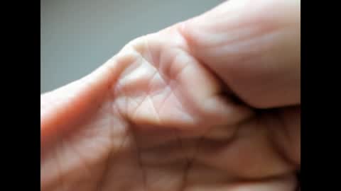 Snapshot of brutalmaster1983 chatting on December 27, 2024, 6:46 am BRUTALMASTER1983 online show from December 27, 2024, 6:46 am