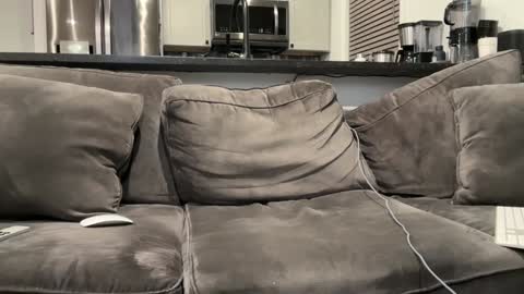 Snapshot of brwm2013 chatting on January 12, 2025, 3:07 am brwm2013 online show from January 12, 2025, 3:07 am