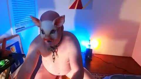 Snapshot of btmcub_sandiego chatting on February 8, 2025, 10:29 am bottom freak online show from February 8, 2025, 10:29 am