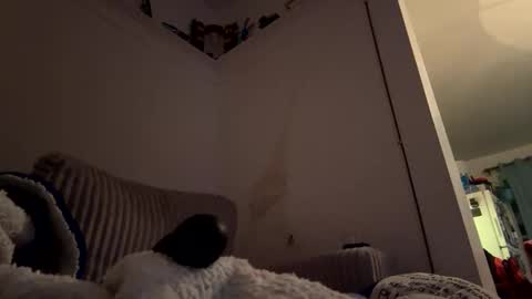 bubblya online show from February 20, 2026, 6:19 am