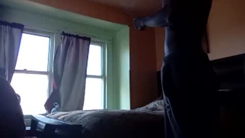 buddylovex online show from November 4, 2025, 4:39 pm