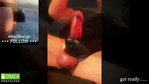 Snapshot of bullbulge chatting on May 19, 2026, 3:02 am Bull. online show from May 19, 2026, 3:02 am