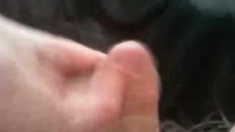 Snapshot of bullemoe chatting on October 2, 2025, 7:04 am bullemoe online show from October 2, 2025, 7:04 am