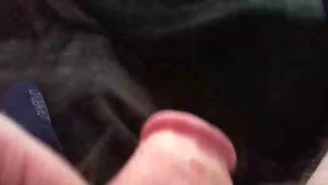 Snapshot of bullemoe chatting on November 9, 2025, 11:41 am bullemoe online show from November 9, 2025, 11:41 am