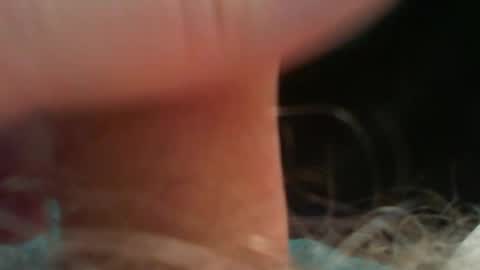 Snapshot of bullemoe chatting on May 16, 2026, 12:48 pm bullemoe online show from May 16, 2026, 12:48 pm