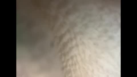 Snapshot of bullhungcub chatting on December 5, 2024, 11:40 pm bull cub online show from December 5, 2024, 11:40 pm