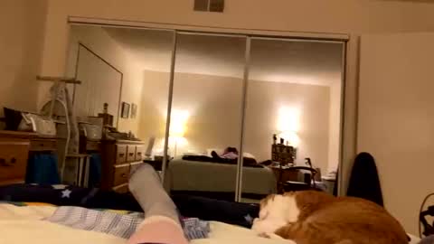 busty_2008 online show from March 18, 2026, 3:42 am