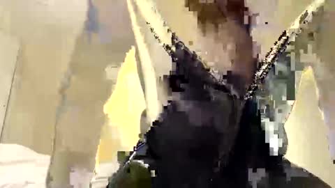 Snapshot of buynowlive chatting on May 18, 2026, 3:18 pm buynowlive online show from May 18, 2026, 3:18 pm