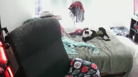 Snapshot of bxbydior chatting on December 13, 2025, 7:53 pm bxbydior online show from December 13, 2025, 7:53 pm