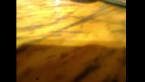 bzxxbzh online show from February 15, 2026, 4:14 pm