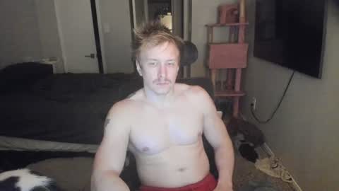 Snapshot of c00ki3m0nstr chatting on June 19, 2026, 2:27 am c00ki3m0nstr online show from June 19, 2026, 2:27 am