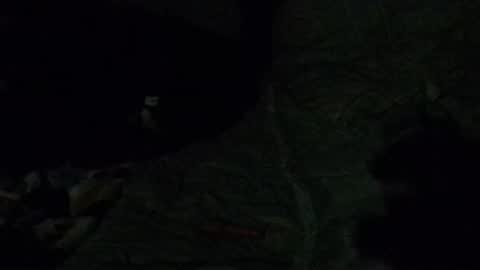 Snapshot of calisguitar chatting on December 29, 2024, 7:39 am Calisguitar online show from December 29, 2024, 7:39 am