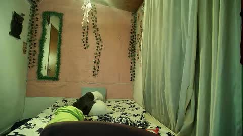 paula online show from February 12, 2026, 2:28 am