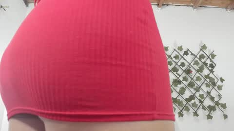 camihotboobs online show from January 29, 2025, 7:43 pm