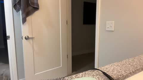 Snapshot of camiliakxoxo chatting on December 8, 2024, 10:41 am camiliakxoxo online show from December 8, 2024, 10:41 am