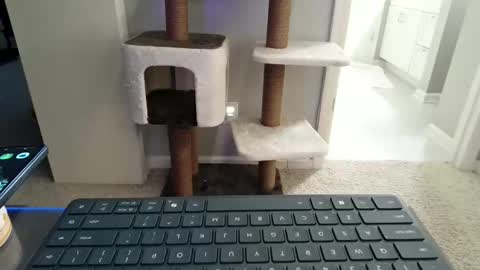 cammyman6900 online show from May 2, 2026, 5:12 am
