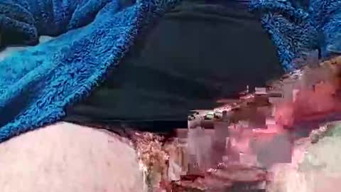 camone554cum online show from October 4, 2025, 4:49 pm