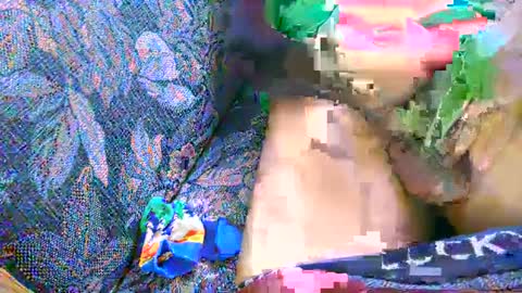 7777 online show from March 2, 2025, 7:45 pm