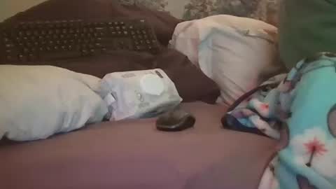 Candi online show from February 3, 2026, 6:40 am