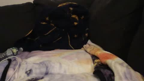 Snapshot of cannakams chatting on September 14, 2025, 2:22 am online show from September 14, 2025, 2:22 am