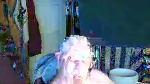 canoelicker69 online show from December 14, 2025, 8:24 pm